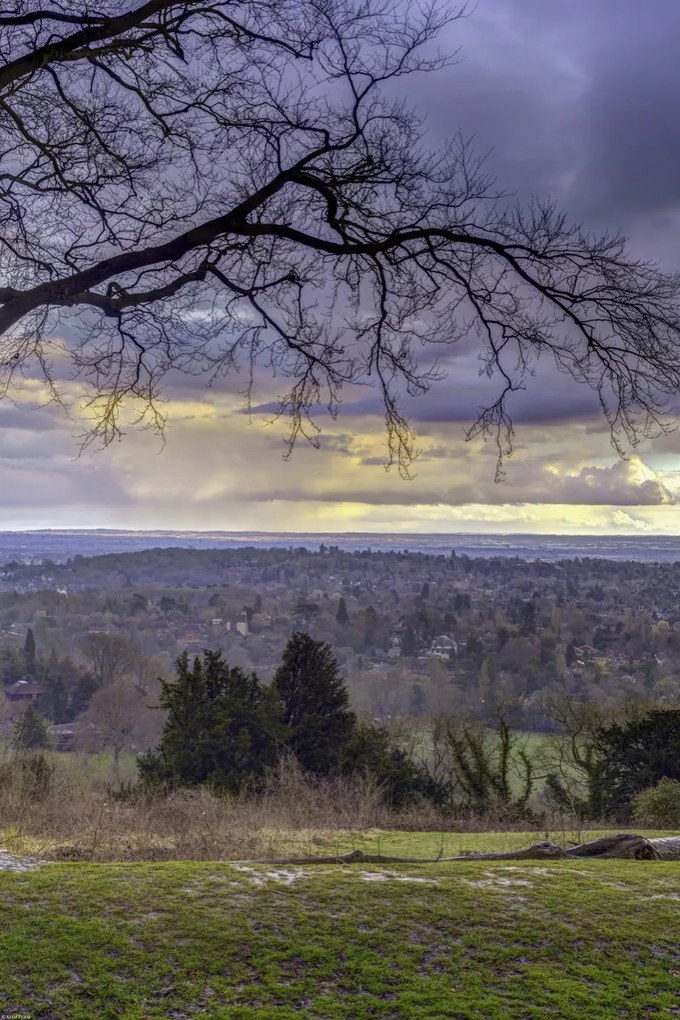 Poszter 40x60cm Reigate Hill 2, Assaf Frank