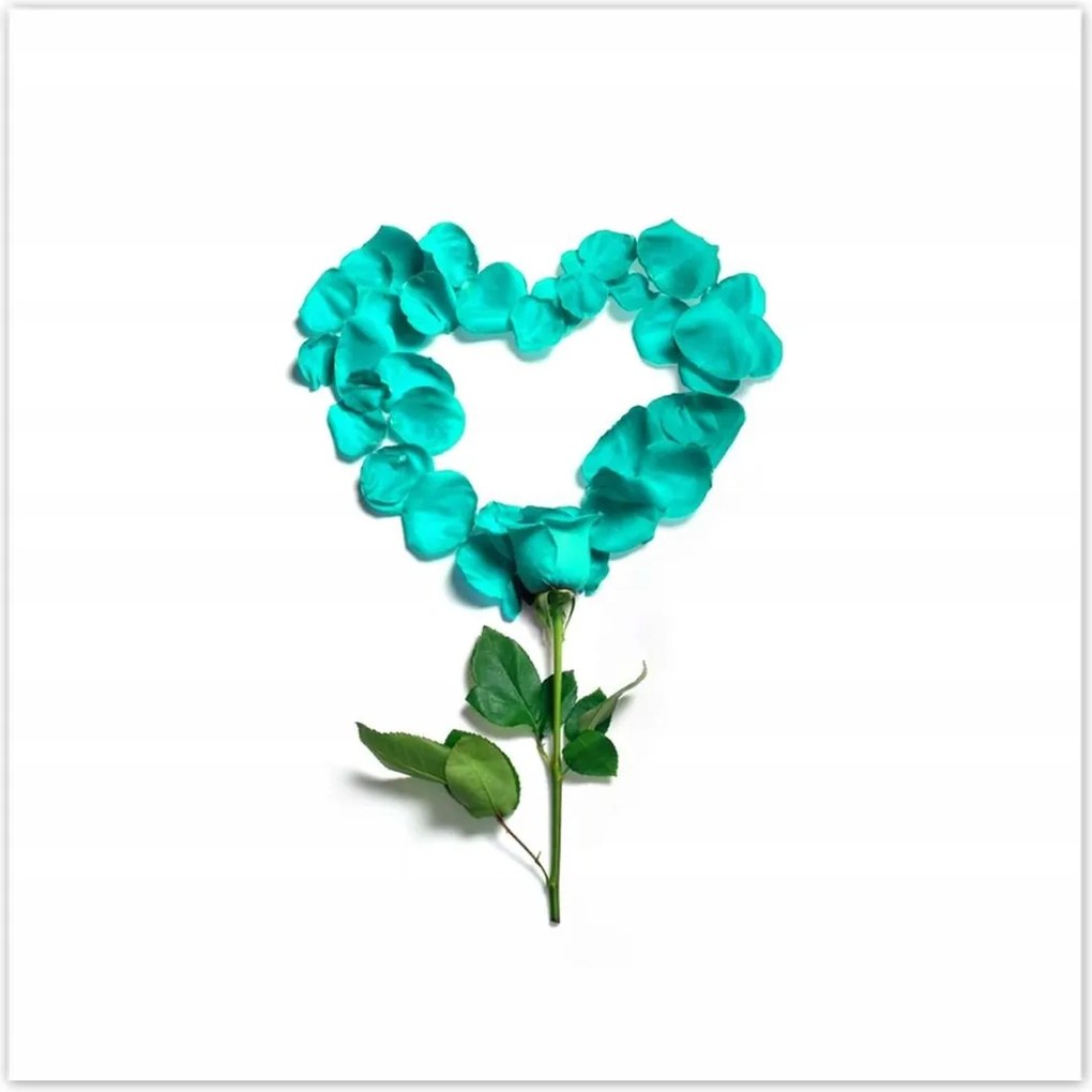 Poszterek 100x100 Türkiz rózsa