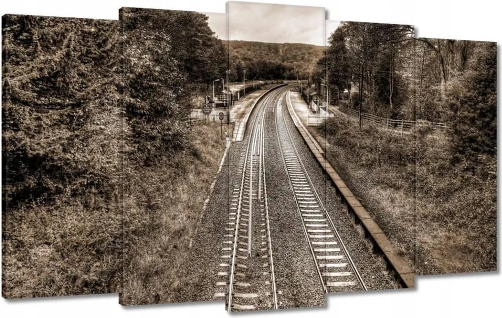 Festmények 100x60 Tóra fotó szépia