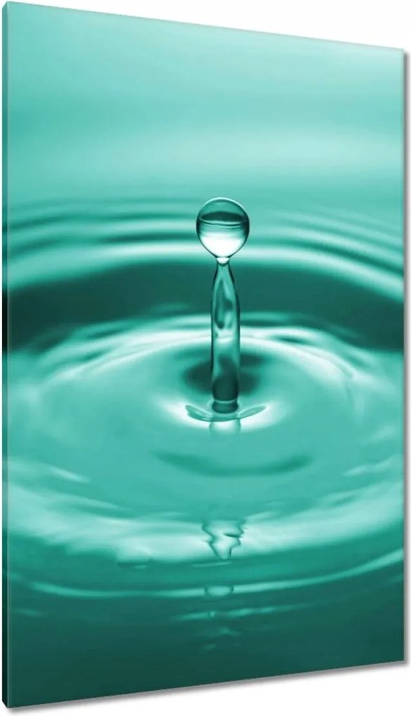 Vászonkép 80x120 Csepp a vízbe