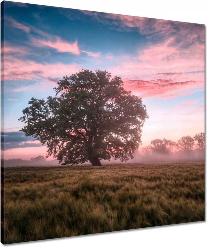 Vászonkép 60x60 Candy tájkép Köd