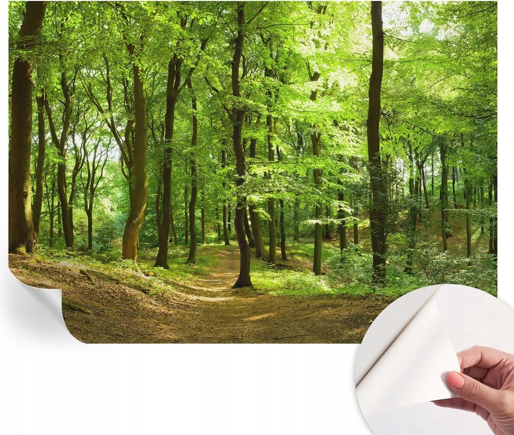 Öntapadós tapéta Divatos 3D fali ragasztóval Természetes ösvény 312x219 cm