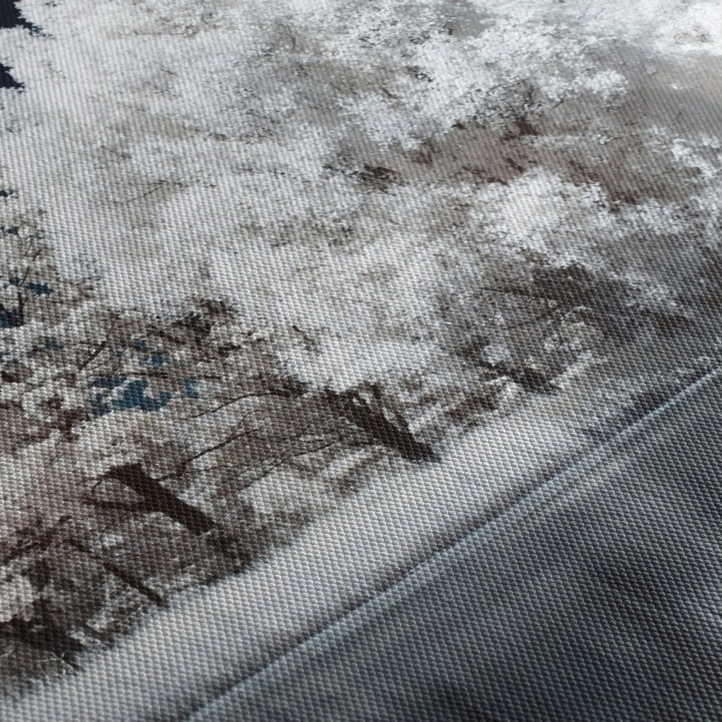 Kép - Hófehér fák (150x105 cm)