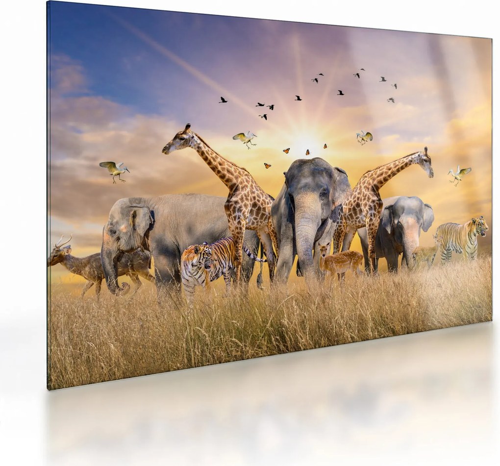 Kép - Afrikai állatok (üvegen) (70x50 cm)