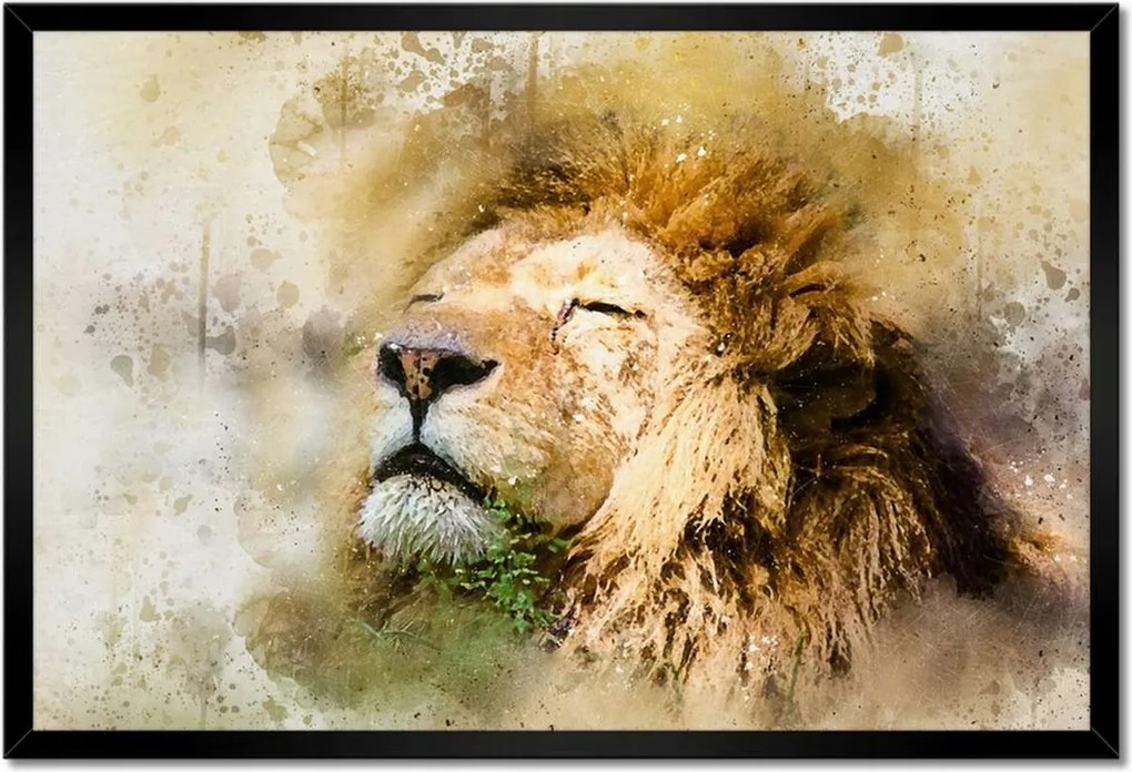 Poszterek keretben 60x40 Oroszlán