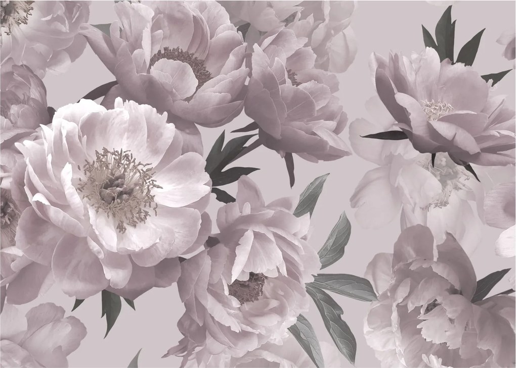 Kép - Vintage bazsarózsa virágok (70x50 cm)