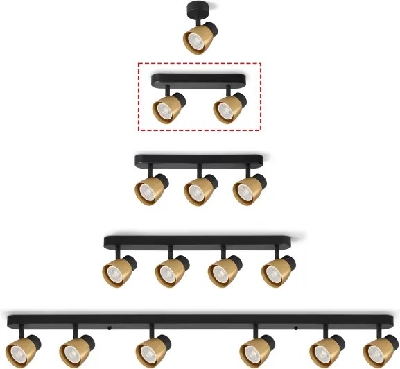 Brilagi - NUGGET irányítható spotlámpa 2xGU10/30W/230V fekete/arany