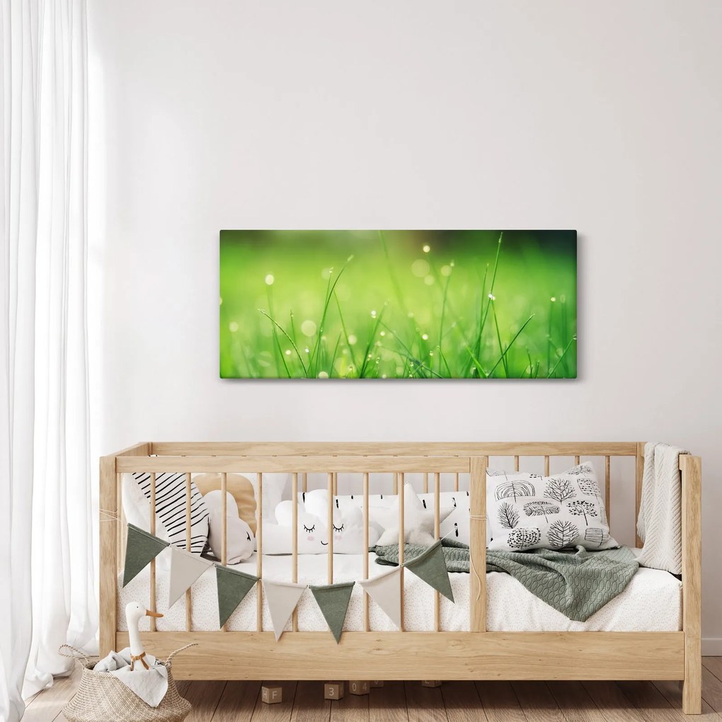 Kép - harmatos fű (120x50 cm)