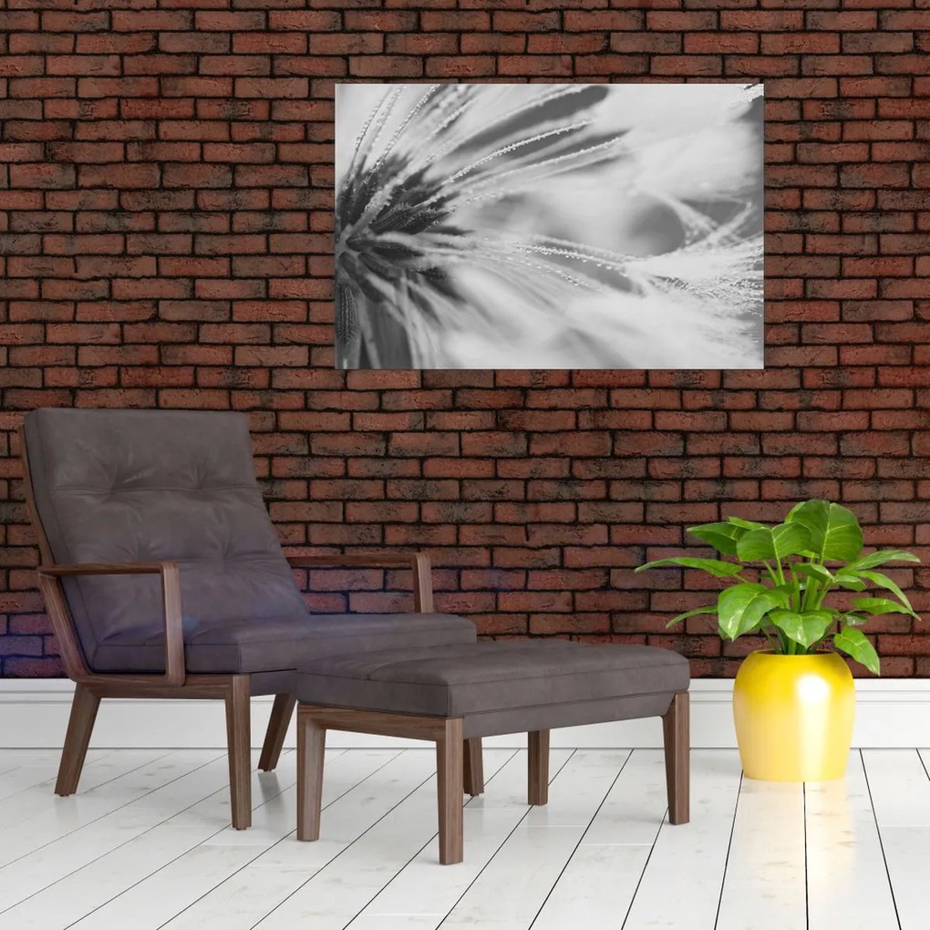 Kép - Pitypang (90x60 cm)