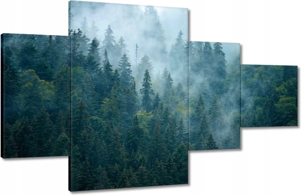 Vászonkép 130x80 Erdő a ködben Utazás