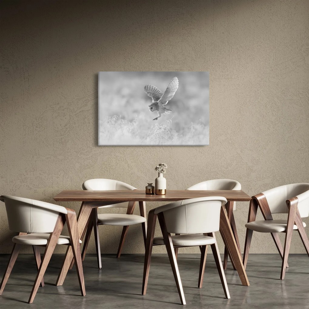 Kép - Bagoly, fekete-fehér (90x60 cm)