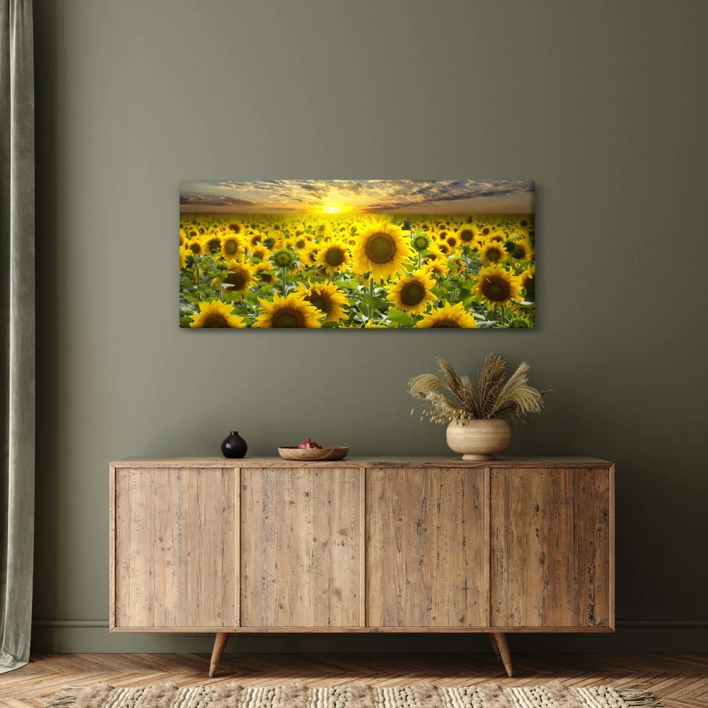 Kép - Napraforgók naplementében (120x50 cm)