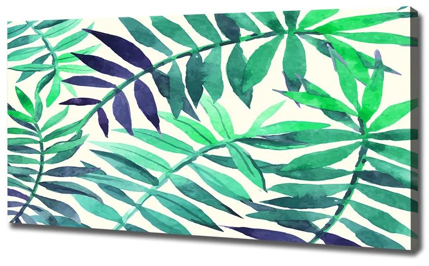 Fali vászonkép Trópusi levelek pl-oc-120x60-f-89951798