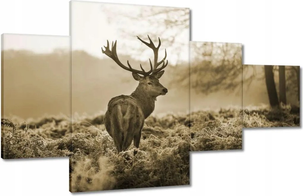 Vászonkép 130x80 Szarvas erdő naplemente