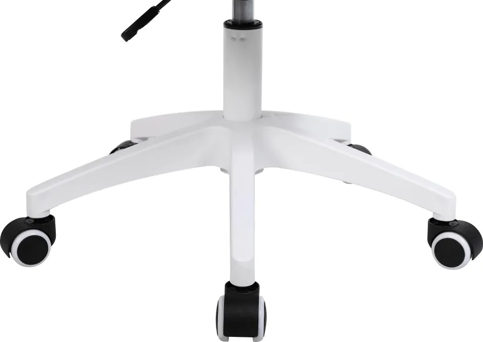 Irodai szék, szürke/fehér, PASTURA