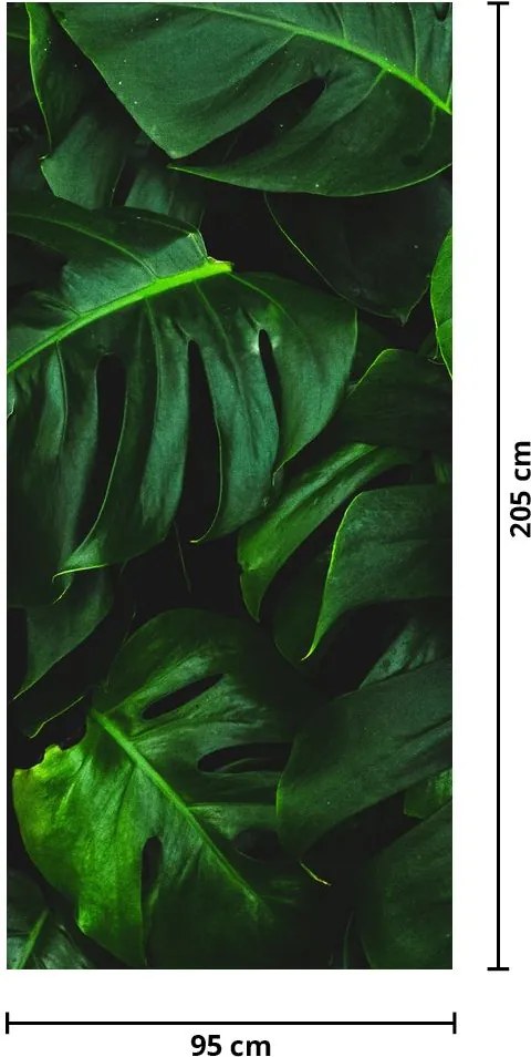 Fotótapéta ajtóra - Monstera levelek (95x205cm)