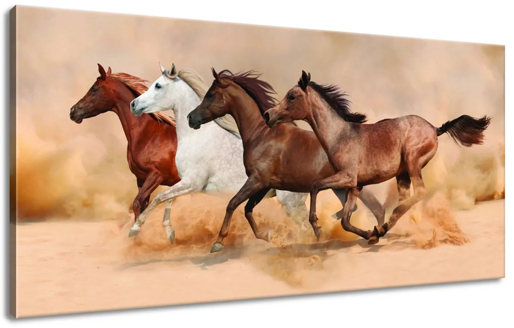 Gario Vászonkép Gyönyöru lovak állománya Méret: 100 x 70 cm