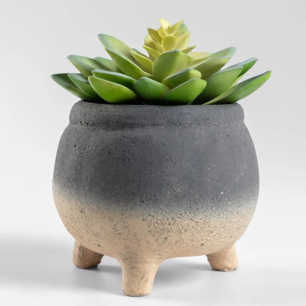 Sedum Lucidum mű pozsgás növény cement virágcserépben - Kave Home