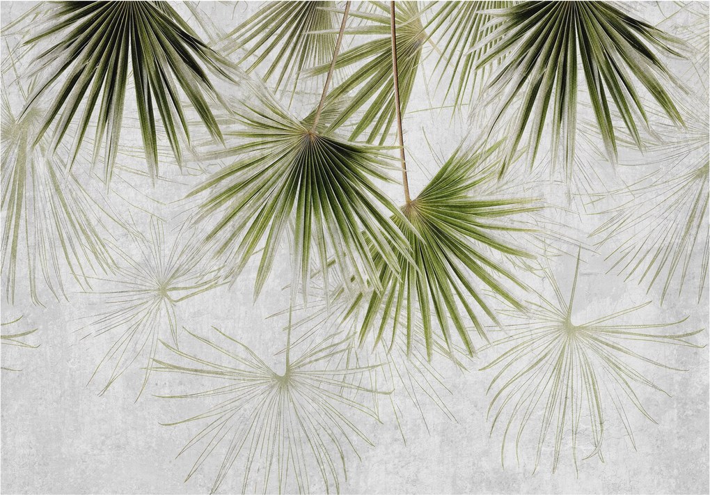 Fotótapéta Pálmalevelek trópusi minták természet 416x290 hálószoba +ragasztó