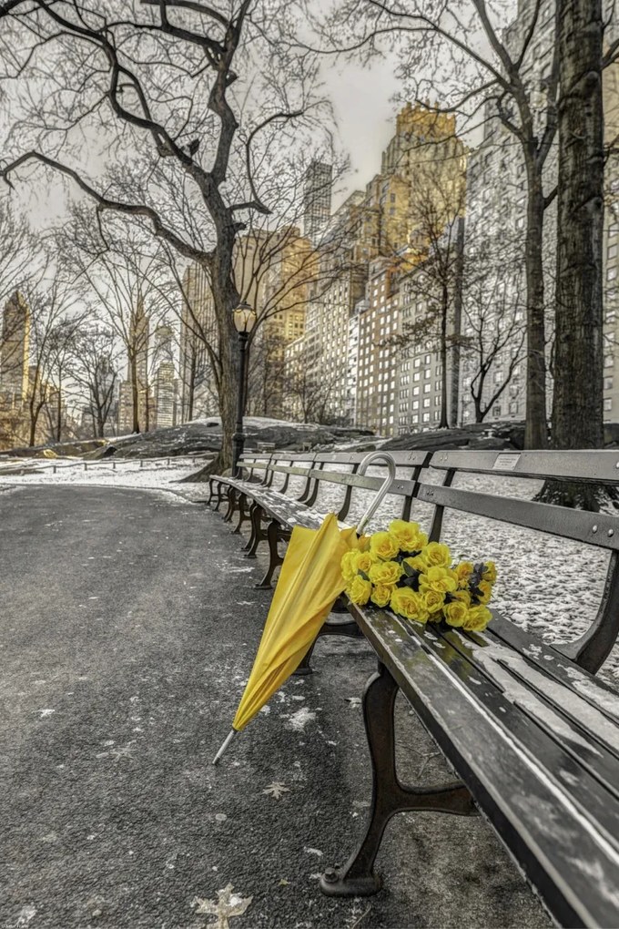 Poszter 40x60cm Egy csokor sárga virág és egy esernyő a park padján, Assaf Fra