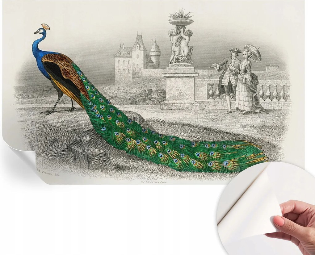 Fotótapéta Fali tapéta Hálószobába és Nappaliba Színes tollak 416x254 cm