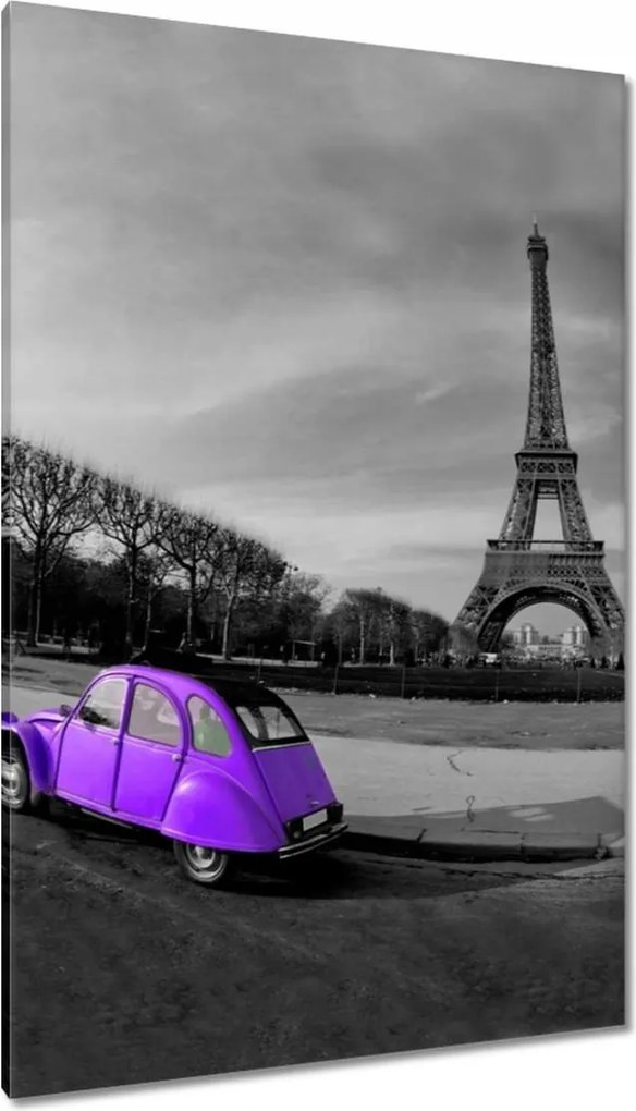 Vászonkép 80x120 Lila autó Párizsban
