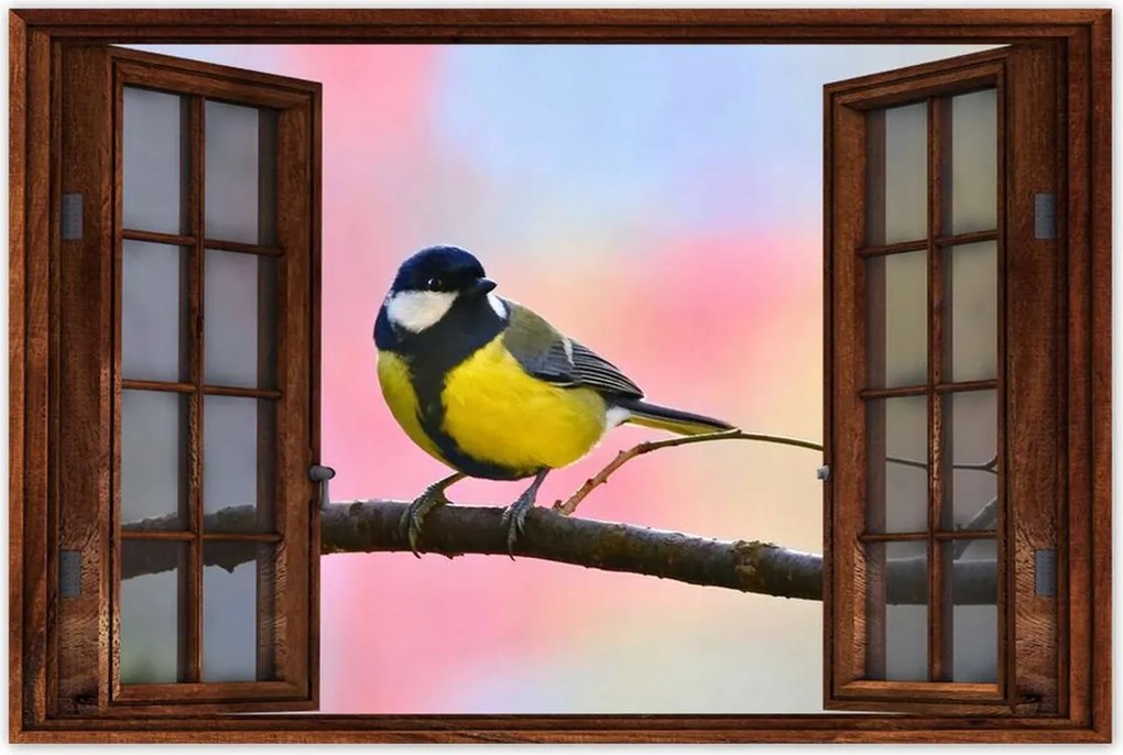 Poszter 60x40 Sárga madár