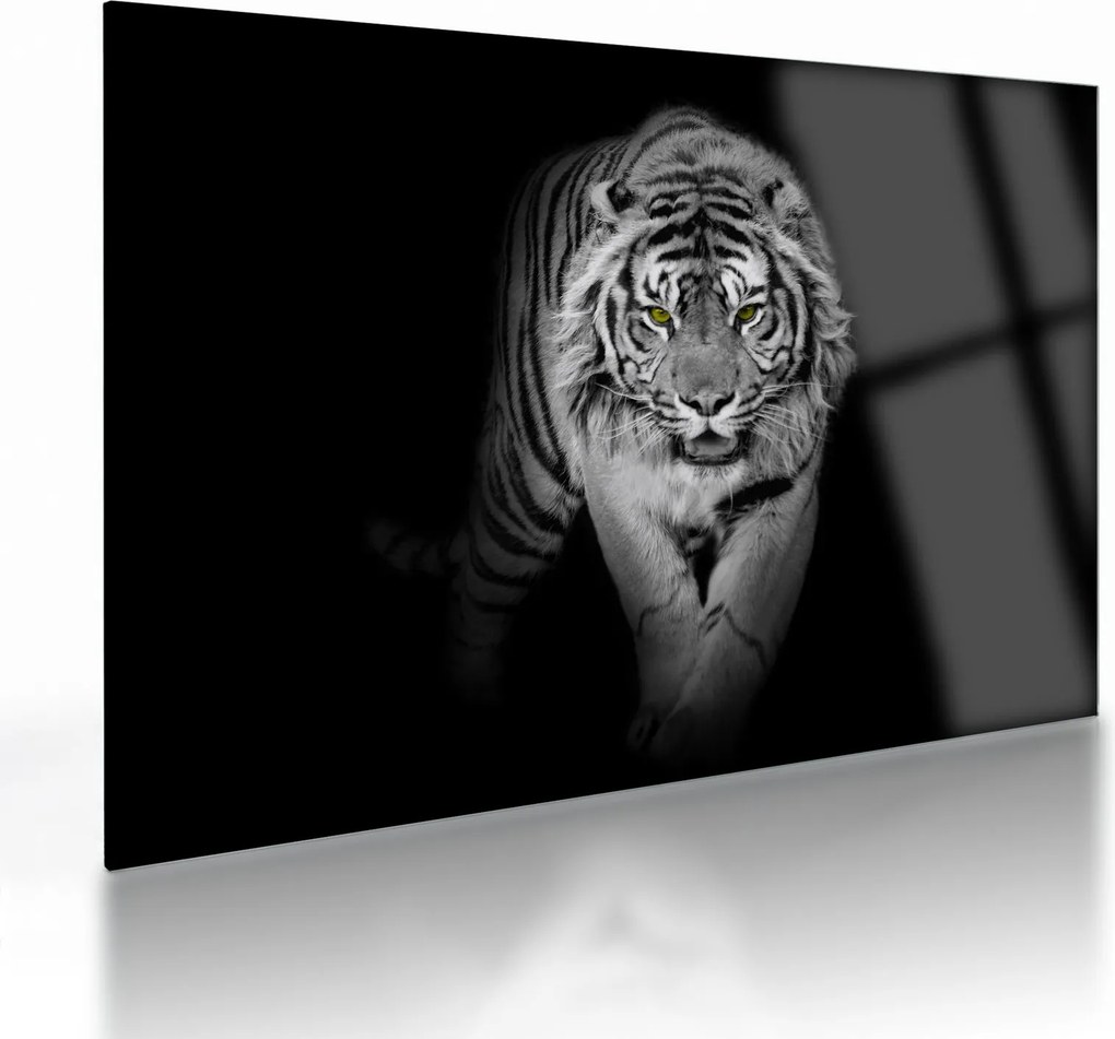 Üveg kép - Sárga szemű tigris (70x50 cm)