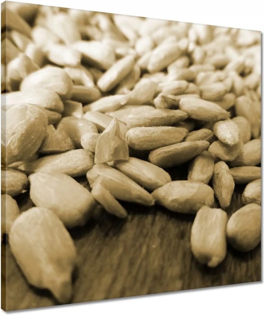 Vászonkép 50x50 Hántolt napraforgó