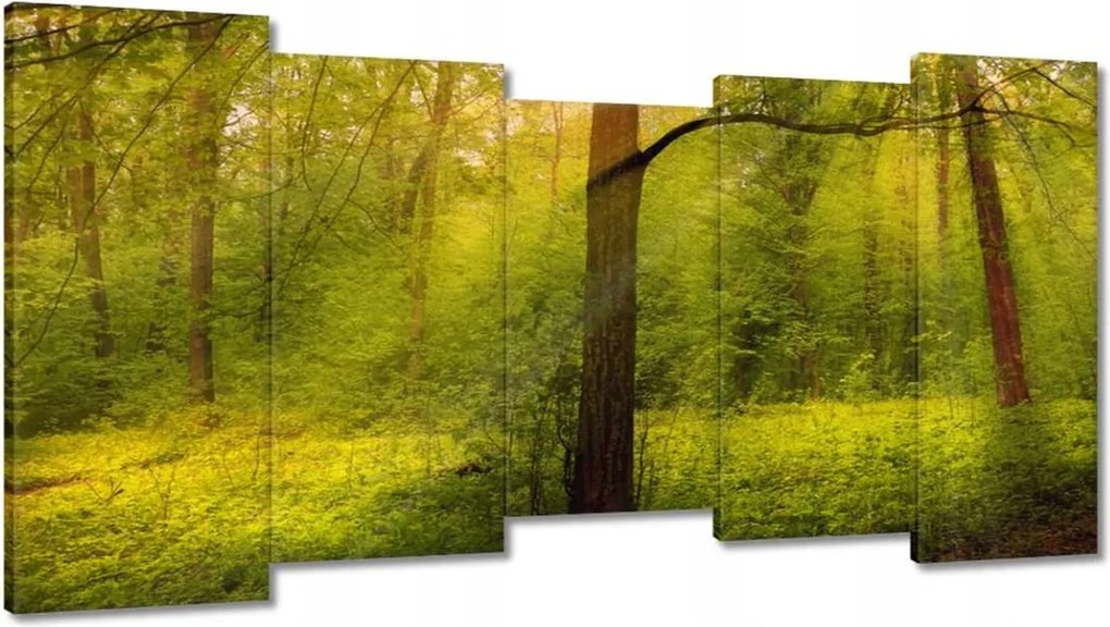 Festmények 150x80 Varázslatos erdő Tájkép