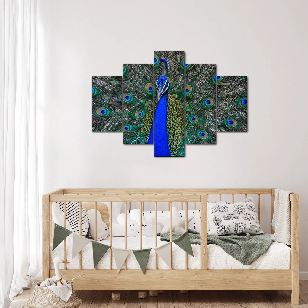 Kép - Páva (150x105 cm)