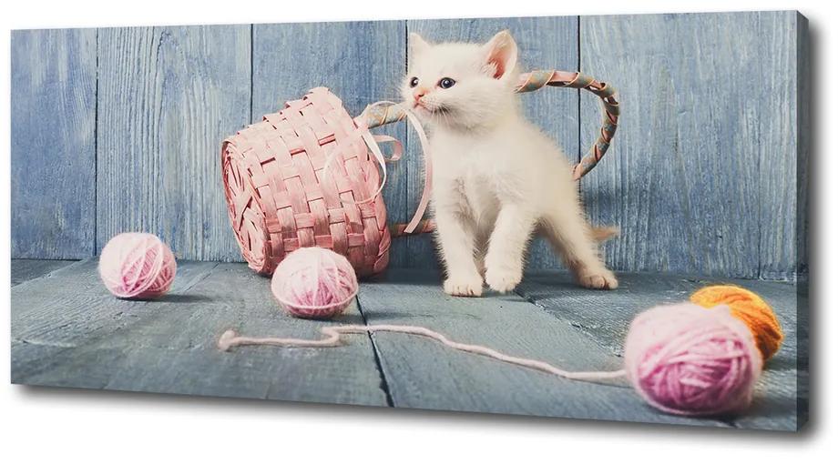Vászonkép Fehér macska és skeins pl-oc-125x50-f-163933928