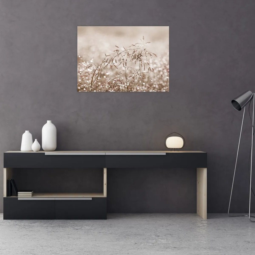 Üveg kép - rét barna árnyalatokban (70x50 cm)