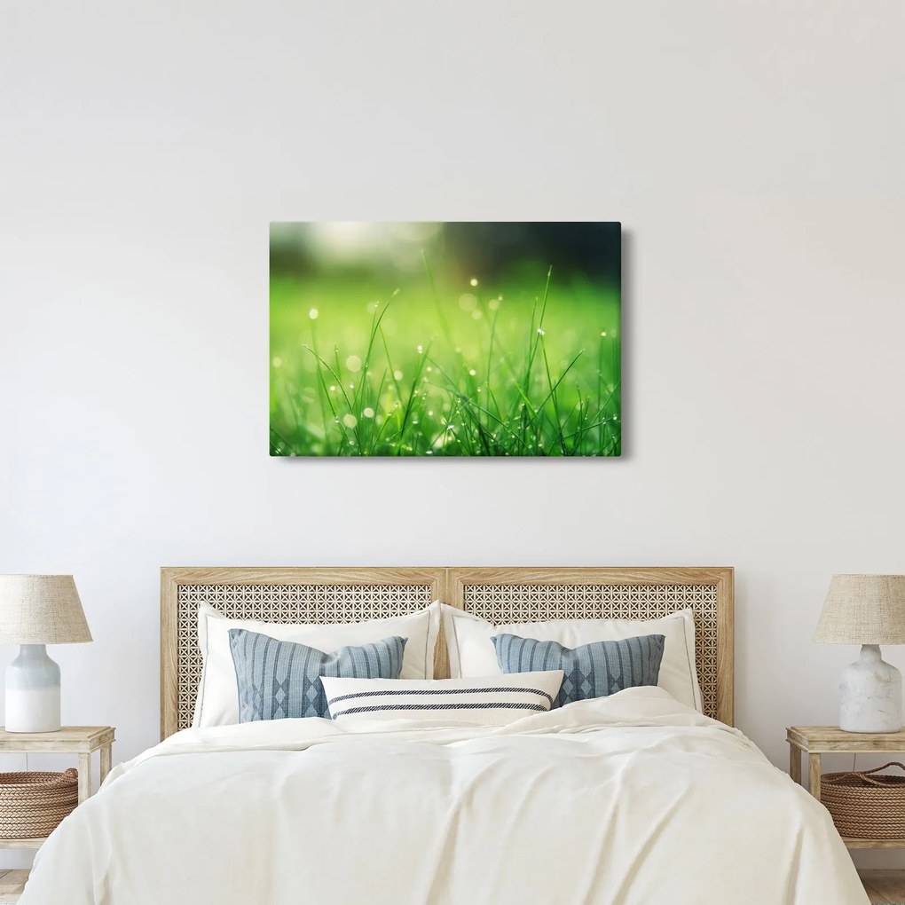 Kép - harmatos fű (90x60 cm)
