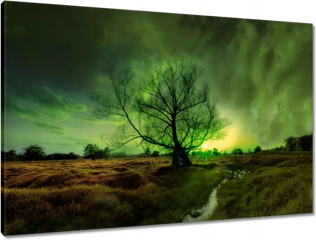 Vászonkép 90x60 Rogalin