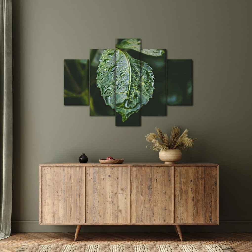 Kép - cseppek a levelen (150x105 cm)