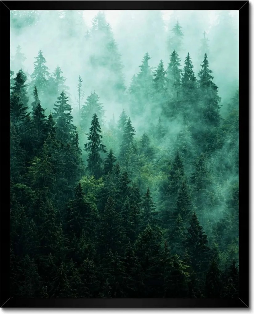 Poszter fekete keretben 40x50 Erdő Köd Tájkép Utazás