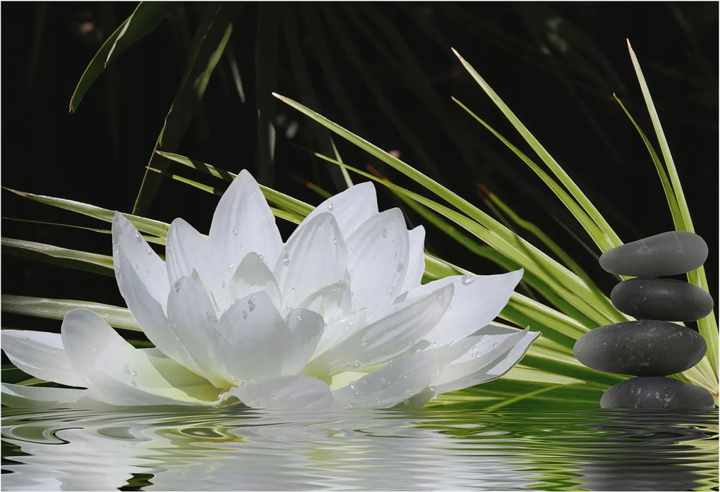 Fotótapéta Flizelin Dekoratív tapéta Liliom meditáció 152x104 Ragasztó