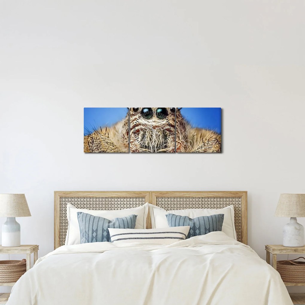 A pók részletének képe (órával) (90x30 cm)