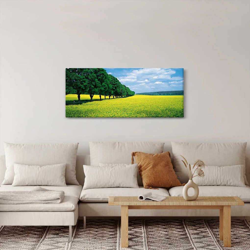 A mező képe egy sikátorral (120x50 cm)