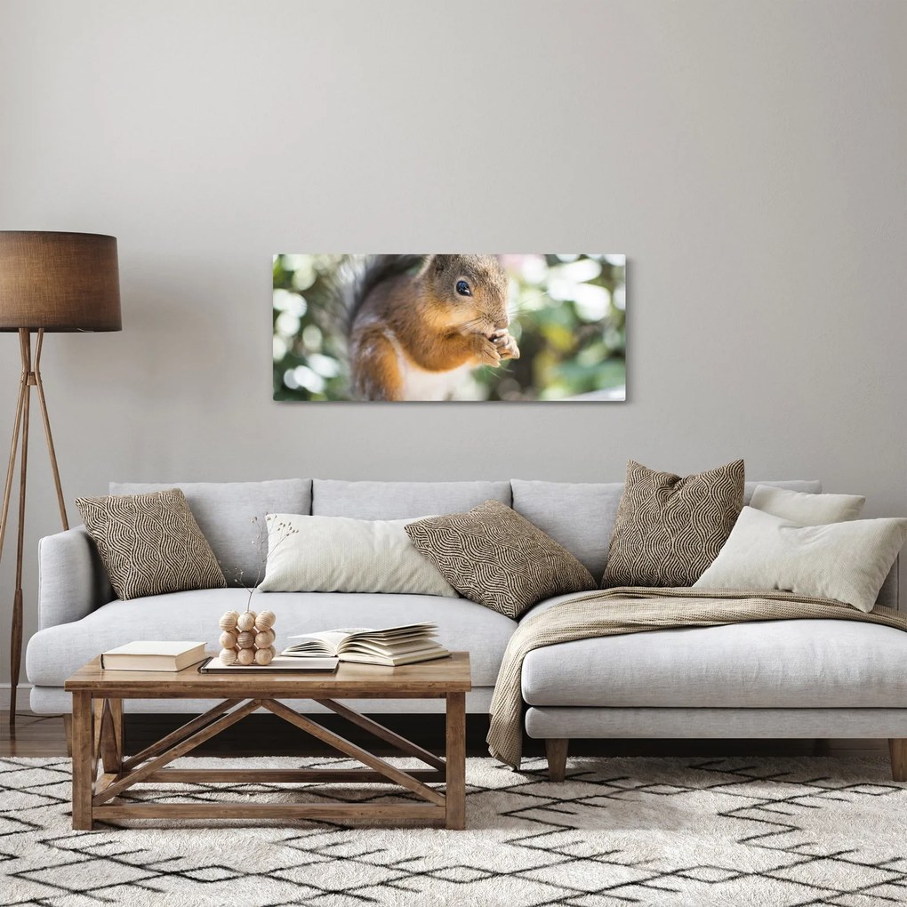 Mókus képe (120x50 cm)