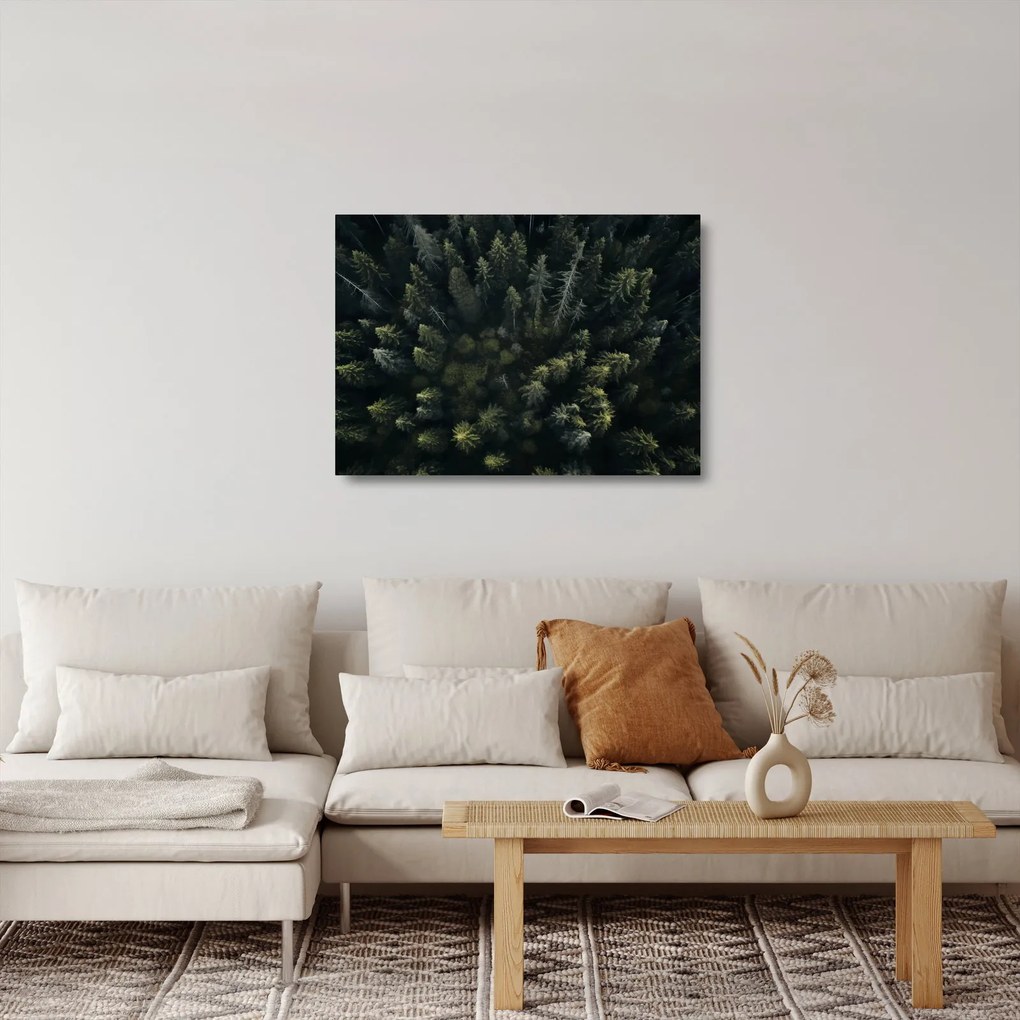 Üveg kép - Forest (70x50 cm)