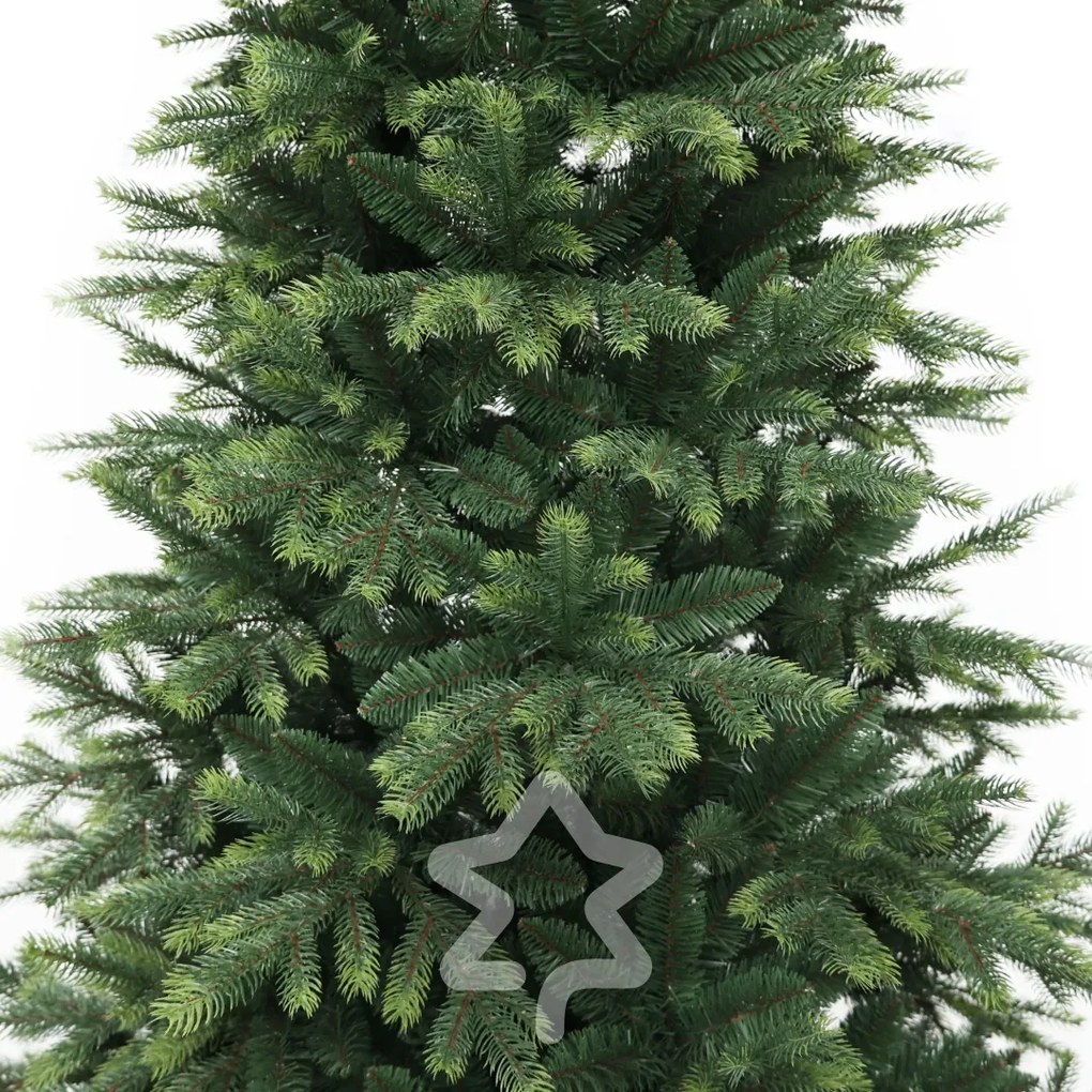 Himalájai lucfenyő 150 cm
