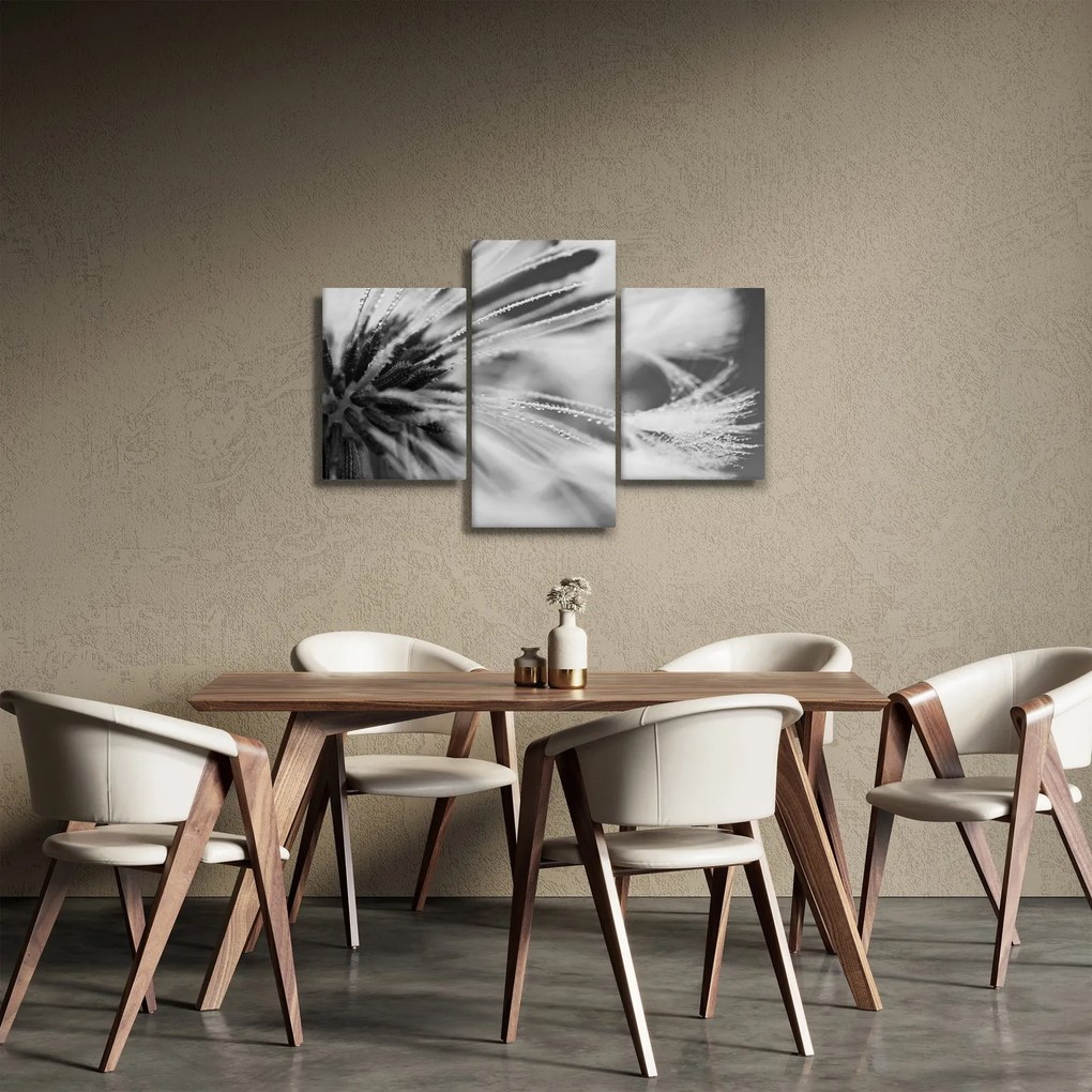 Kép - Makró, fekete-fehér (90x60 cm)