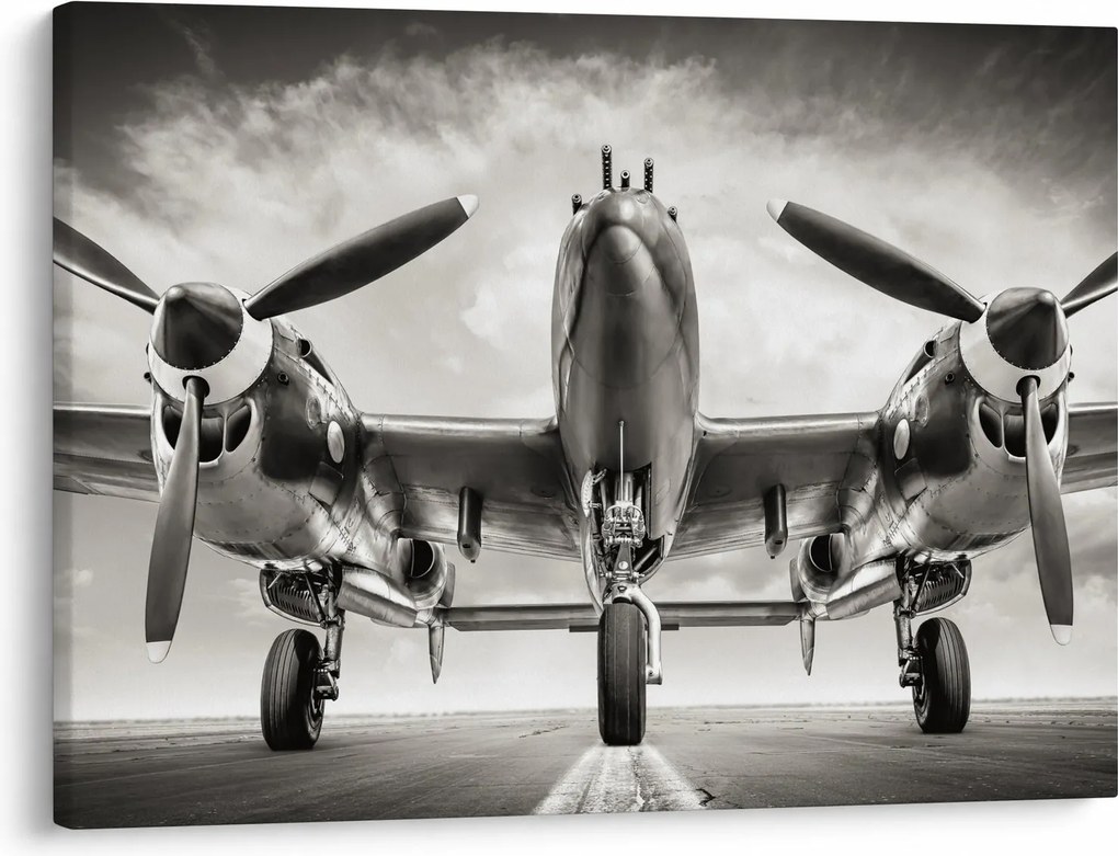 Kép - Warbird (70x50 cm)