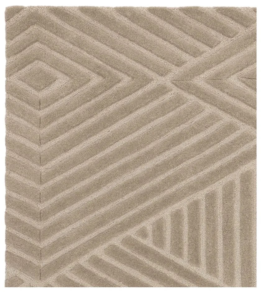 Világosbarna gyapjú szőnyeg 120x170 cm Hague – Asiatic Carpets