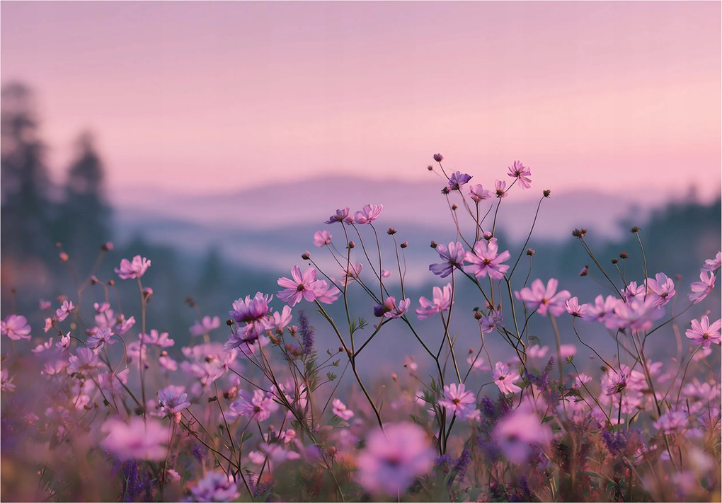 Fotótapéta Mezei Virágok Természet Tájkép Hálószoba Nappali Tapéta 254x184