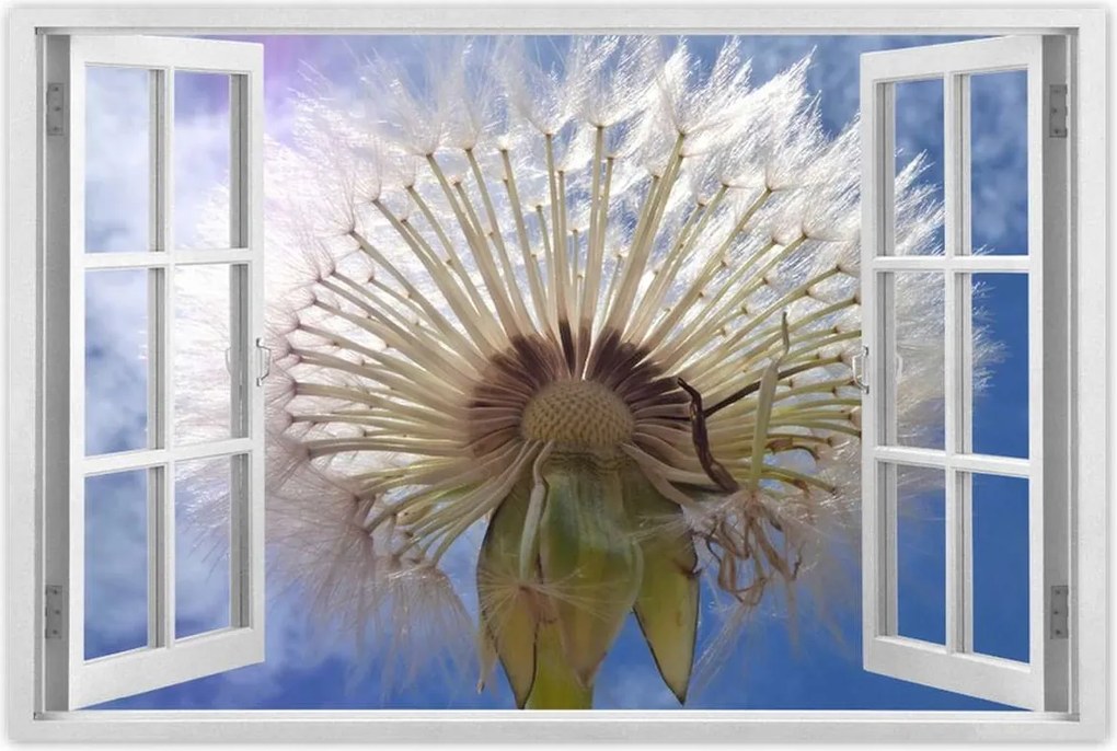 Poszterek 120x80 Pitypang Virág Virágok