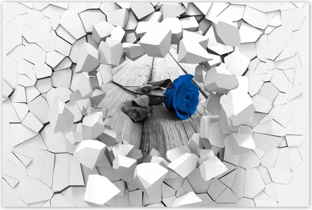 Poszterek 90x60 Kék rózsa a deszkákon