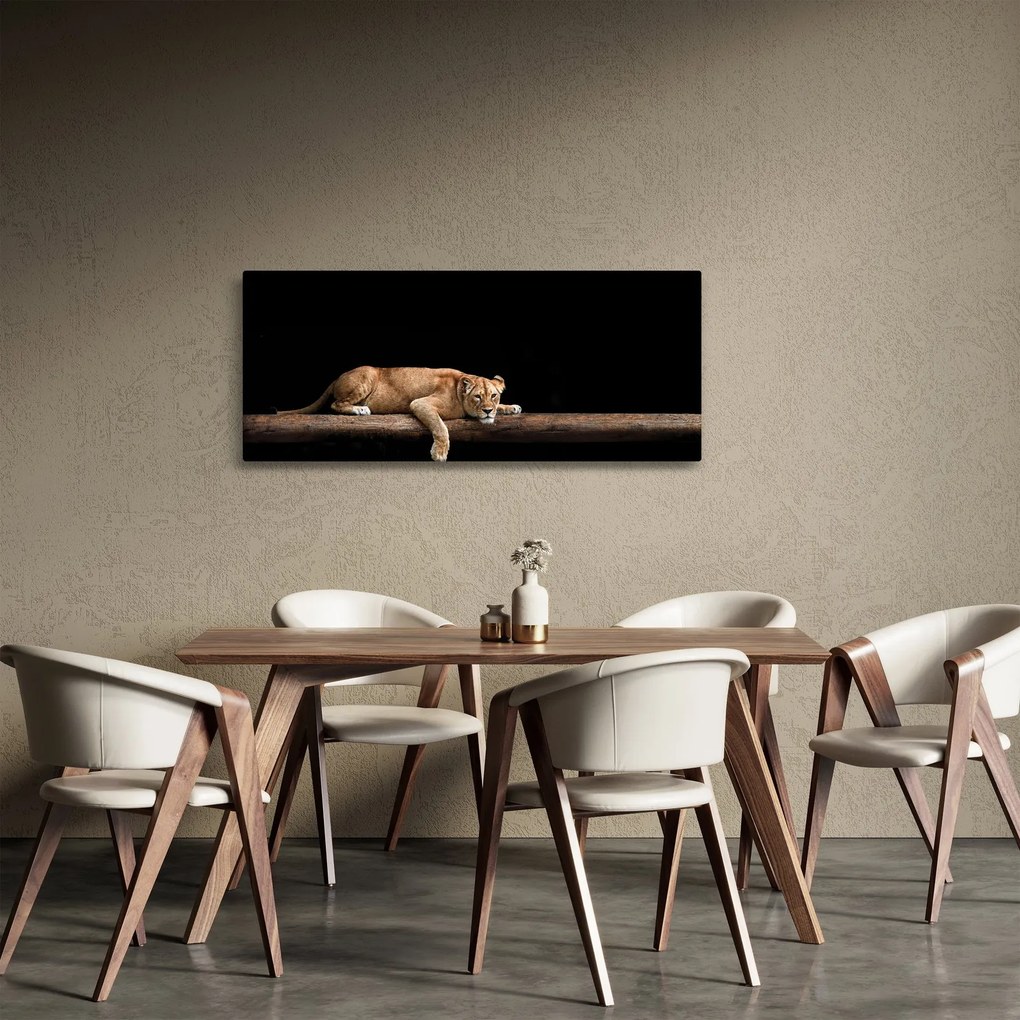 Kép - Lioness (120x50 cm)